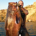 Video Pescasub: la Grande Cernia Sorpresa all’Agguato (26 kg)