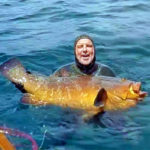 Video Pescasub: una Grossa Cernia Bruna poco Attenta (32 kg)