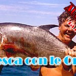 Viaggi di pesca: Diario Australia (4a parte)