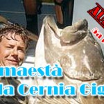 Viaggi di pesca: Diario Australia (5a parte)