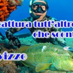 Il marvizzo: una cattura tutt’altro che scontata