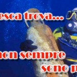 In apnea dentro la storia: importante ritrovamento archeologico durante una pescata