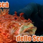 La Pesca dello Scorfano