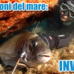 Le stagioni del mare: l’inverno