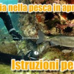 La torcia nella pesca in apnea: istruzioni per l’uso