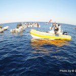 Assoluto 2012 di pesca in apnea: la rivincita