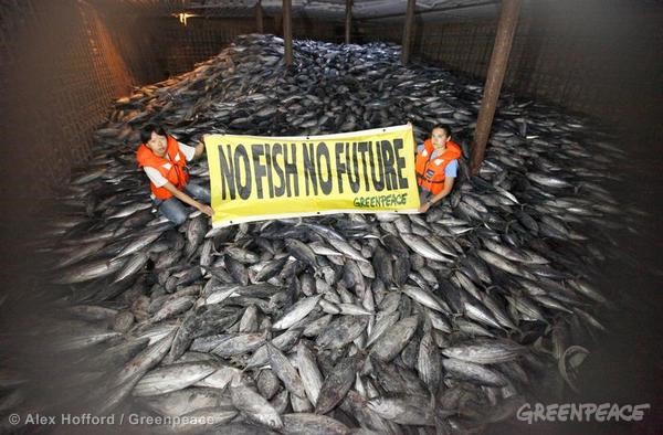 Illegal Pacific Tuna Transhipment