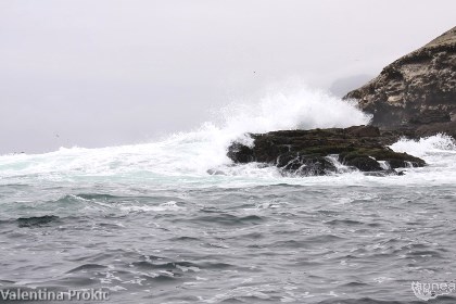 L'onda oceanica ha caratterizzato tutto il campionato (foto V. Prokic)