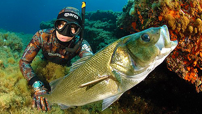 MARSUB_40_238393081-650