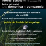 Il 19 novembre pulizia dei fondali a Torri del Benaco