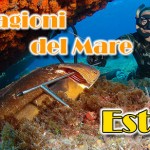 Le stagioni del mare: l’estate