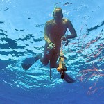 Deep Spearfishing: all about the Variable Weight