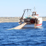 Pesca: i Professionisti stanno Uccidendo il Banco Amendolara con Vetriolo e Strascico