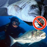 La Protesta Animalista fa Cancellare la Manifestazione “Barcolana Pesca”