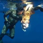 Video Pescasub con i Maestri: Stefano Bellani e la Cernia in Caduta
