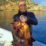 Video Pesca Sub: una Grossa Cernia in Caduta (23,5 kg)