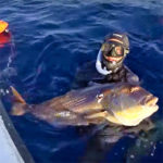 Video Pesca Sub: un Enorme Dentice Abissale (12,5 kg)