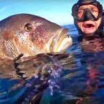 Video Pescasub: il Grosso Dentice Sorpreso all’Ombra della Tettoia di Roccia