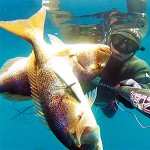 Video Pescasub: 2 Grossi Dentici con un Colpo Solo