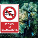 La Pesca Sub in Presenza del Divieto di Balneazione