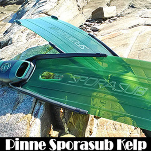 kelp mini riepilogo