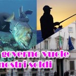 Licenza di pesca in mare dal 2016: avanti tutta