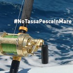 Licenza di Pesca a Pagamento: Stralciati Definitivamente gli Articoli che la Introducevano