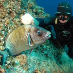 Licenza Pesca in Mare: dopo quella Nazionale ci saranno quelle Regionali?