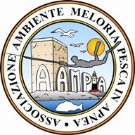 logoaampiacoloreridotto