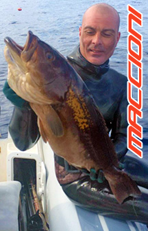 maccioni