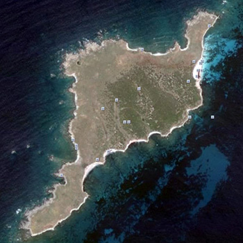 maldiventre