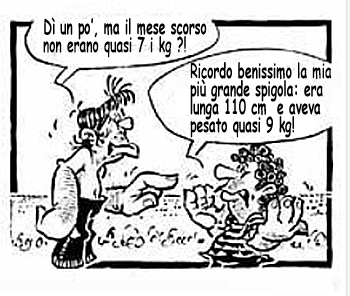 memoria pesca