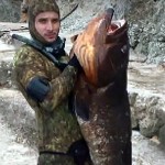 Video Pescasub: la Cattura Perfetta della Grossa Cernia (24 kg)