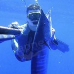 Pescasub tropicale: nel blu a caccia di wahoo (3a parte)