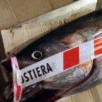 Pesca Sportiva: scoperto mercato nero del pesce per centinaia di migliaia di euro