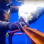 Video Pescasub: la Grossa Ricciola Immobile in Corrente (30 Kg)