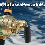 Uniti Contro la Licenza di Pesca a Pagamento: la Politica ascolti i Pescatori!