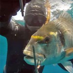 Video Pescasub: la Grossa Orata nella Tana in bassofondo