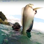 Video Pescasub: l’Oratona Gigante tra Torbido e Risacca (8 kg)