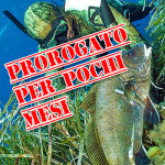 Permesso Gratuito per la Pesca in Mare: Prorogato, ma Solo per Pochi Mesi