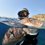 Pesca Sportiva: solo il 5% delle Catture (Professionale il 95%) ma 90 Milioni di Indotto