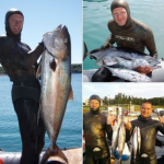 Sub disperso in Adriatico: appello ai naviganti! Sub disperso in Adriatico: appello ai naviganti!