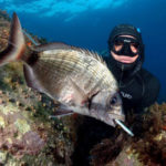 Permesso Gratuito per la Pesca in Mare: Prorogato a Tempo di Record!