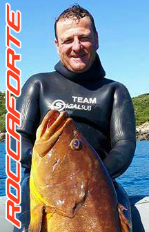 roccaforte