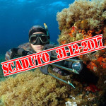 Scaduto il Permesso Gratuito per la Pesca in Mare, cosa Succede Adesso?