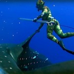 Video Pescasub: mentre pescano Tonni spunta il Gigante dei mari