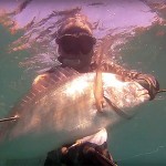 Video Pescasub con gli Agonisti: Nicola Smeraldi e l’Oratona nella Risacca