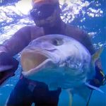 Video Pesca Sub: Ricciola, il Sogno che si Avvera (42 kg)