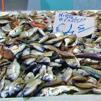 sottomisurabancopesce