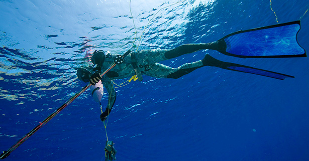 il diving reflex induce il rilassamento